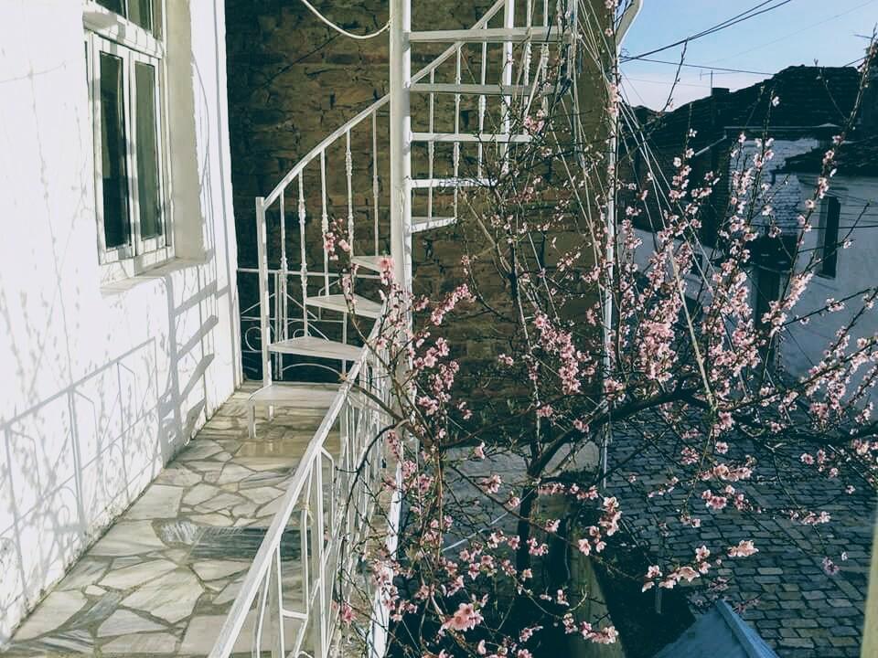 Cozy Loft Apartment Korce Exterior photo